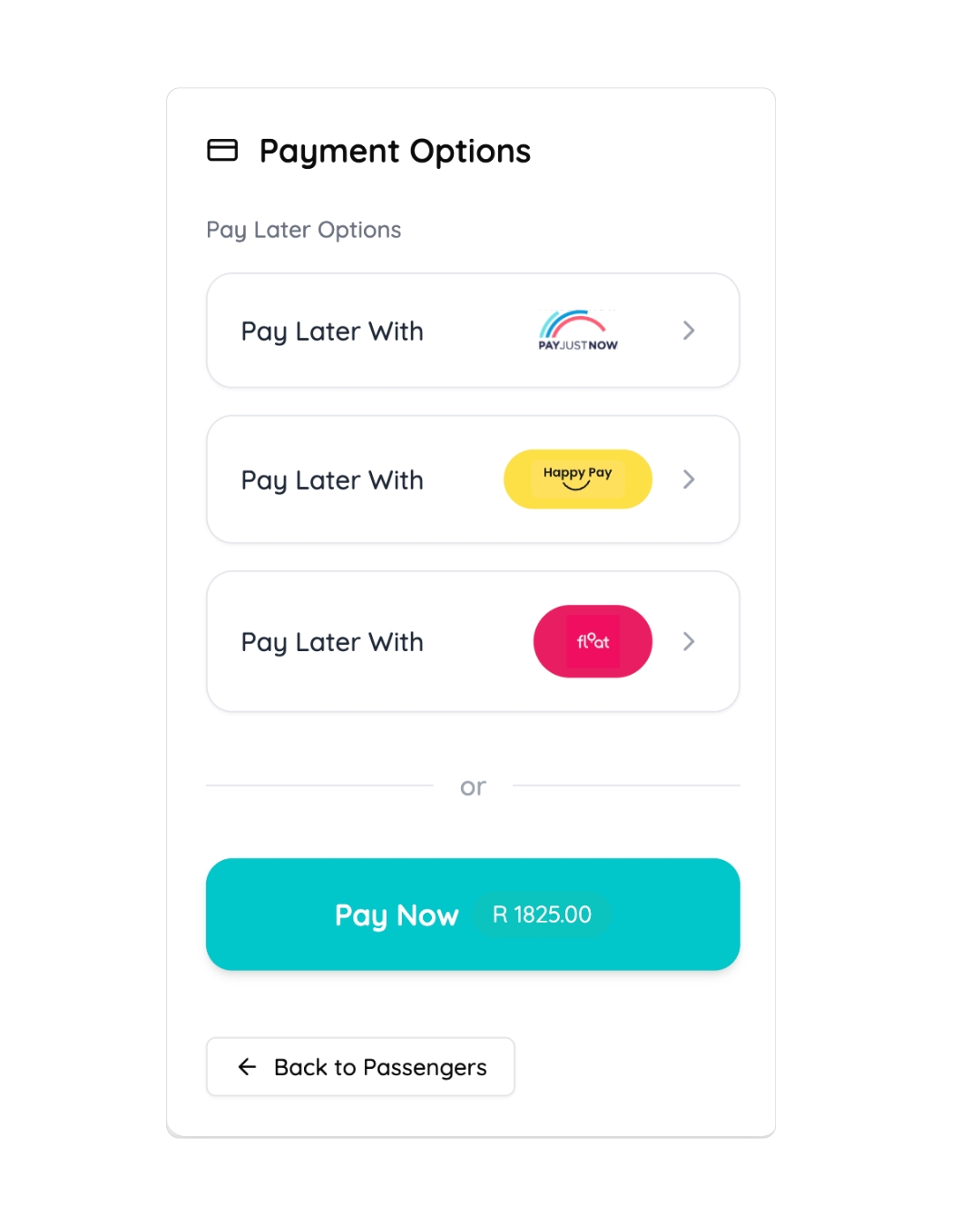 Payment process interface