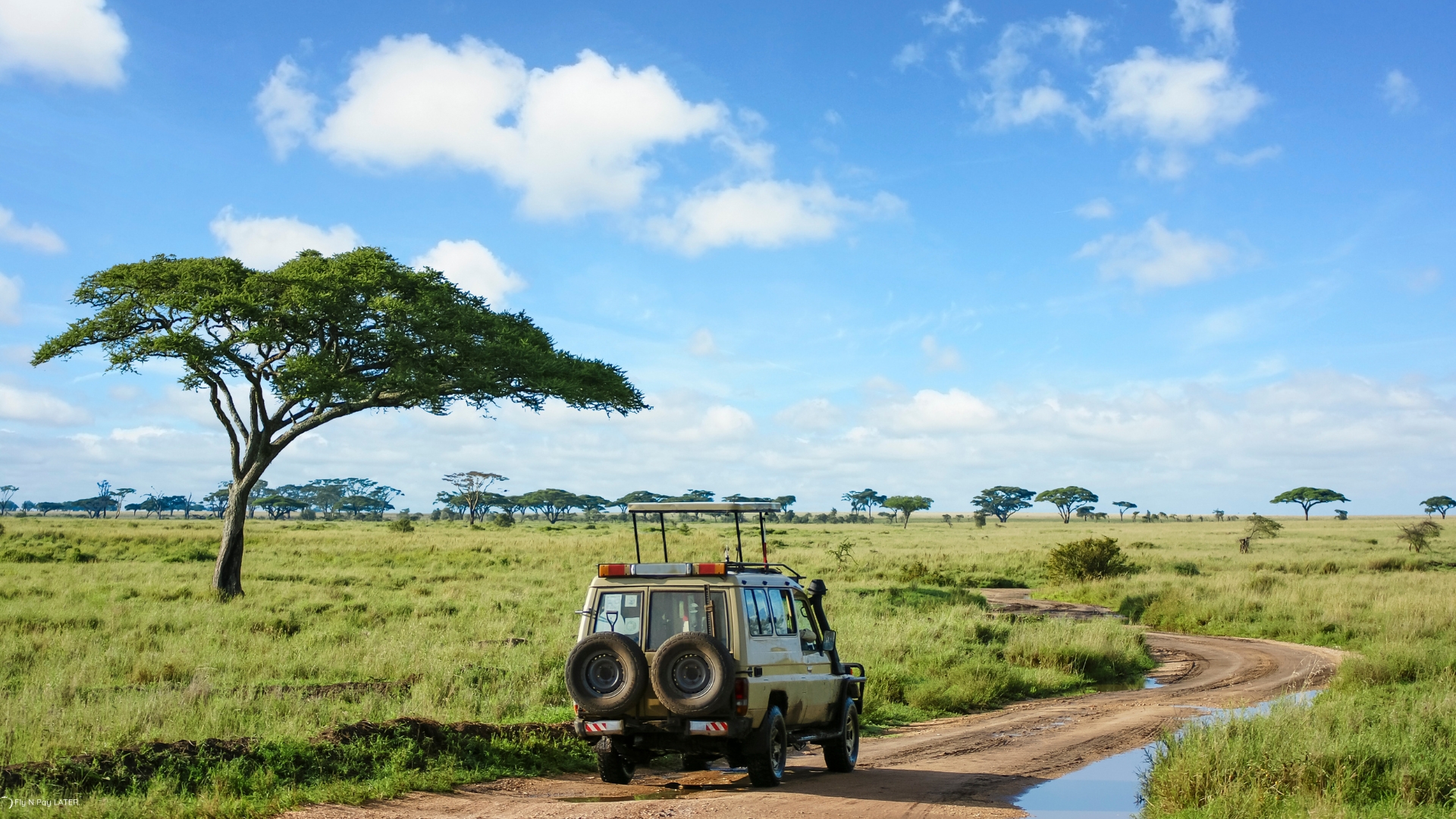 Breathtaking view of Kruger National Park